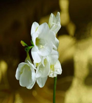 潜江十二生肖看看你的幸运数字是什么吧！