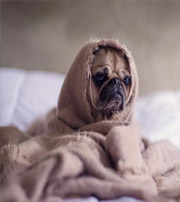 潜江有这样的手机号码，留不住钱，你中枪了吗？