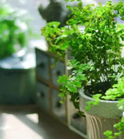 潜江专属于你的开运指南，助你鸿运当头福满身！