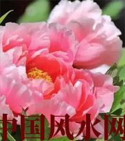 潜江预示你财运上升，姻缘可成的梦境，快来看看吧！