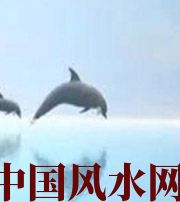 潜江做梦梦到这些，是要富裕的征兆！