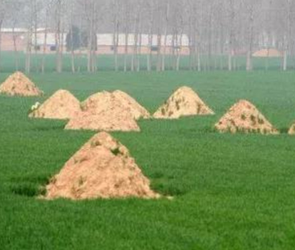 潜江阴宅风水：形峦三十六绝